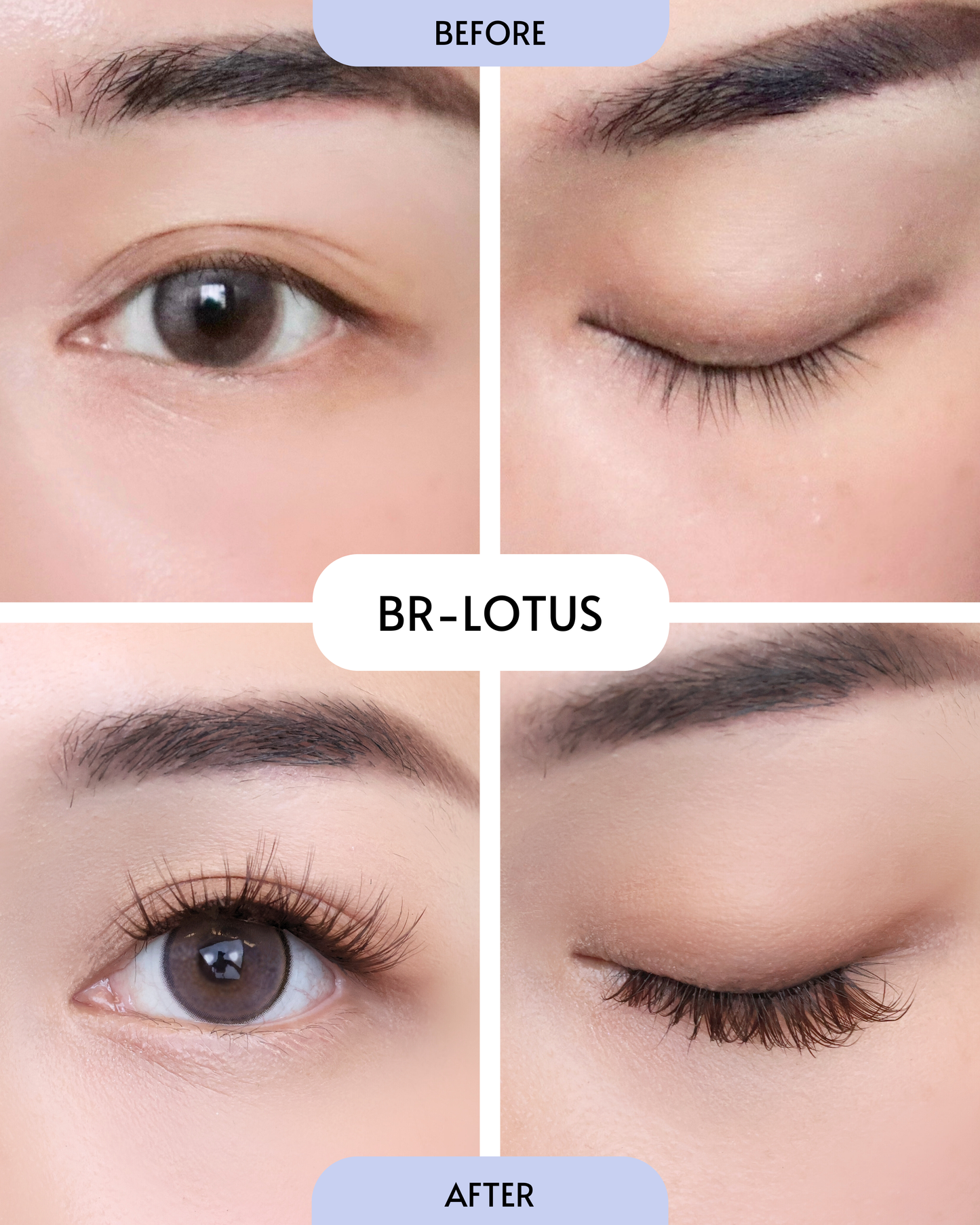 Brown - Lotus (Pre-Glued Press-On Lash Clusters)