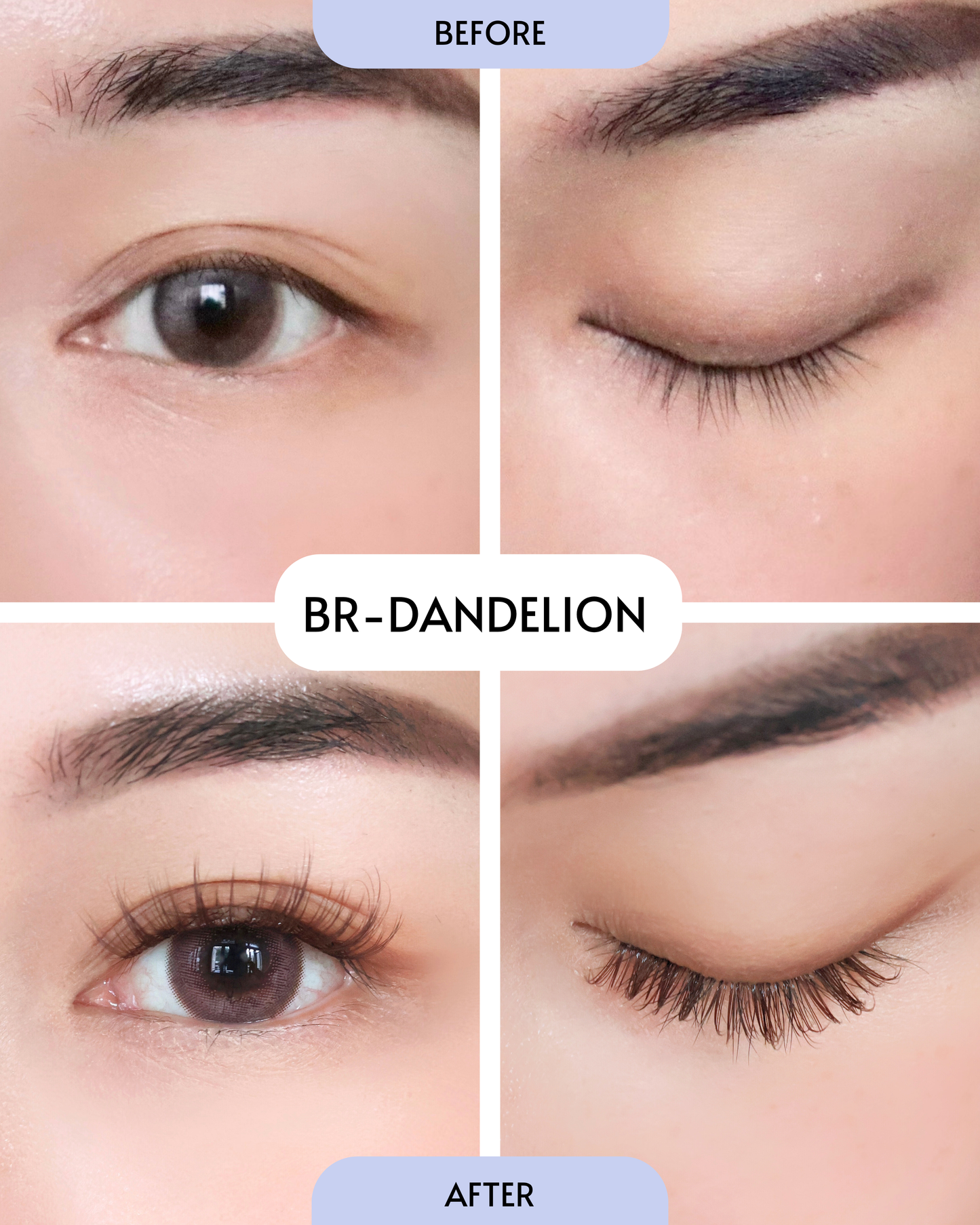 *BackOrder ETA Mid Sep '25: Brown - Dandelion (Pre-Glued Press-On Lash Clusters)