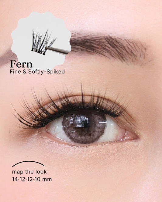 Fern