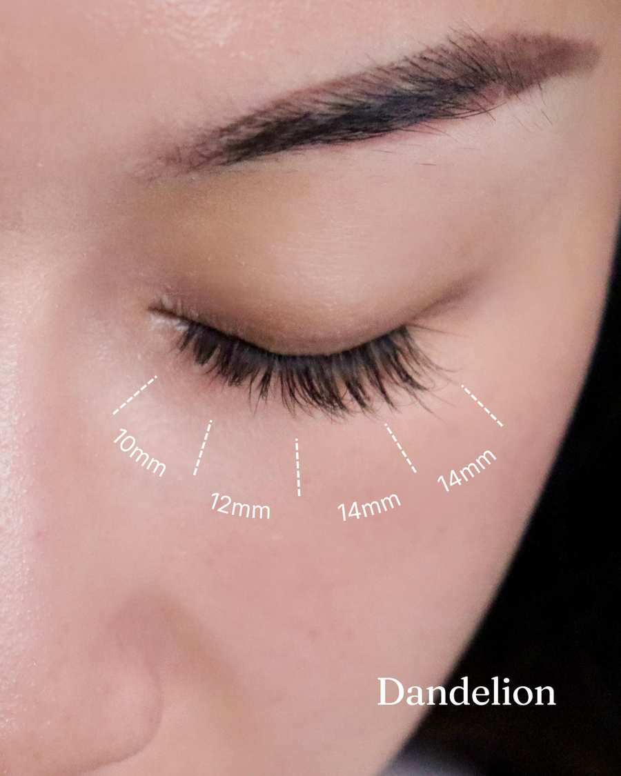 Lash map
