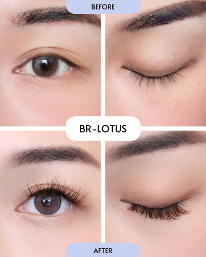 Brown - Lotus (Pre-Glued Press-On Lash Clusters)