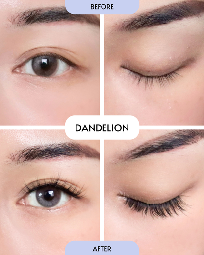 Dandelion / In-A-Wink (Pre-Glued Press-On Lashes)