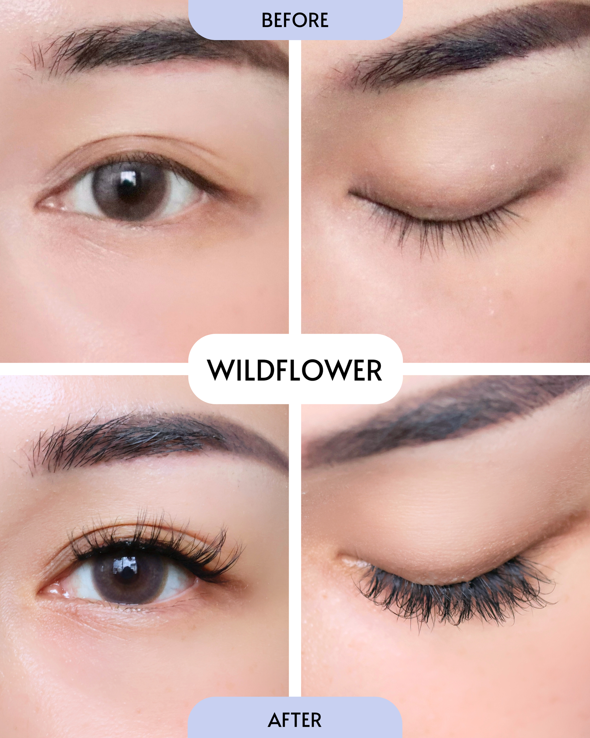 Wildflower (Pre-Glued Press-On Lash Clusters) 10/12/14 mm Black Glue (Eyeliner Effect)