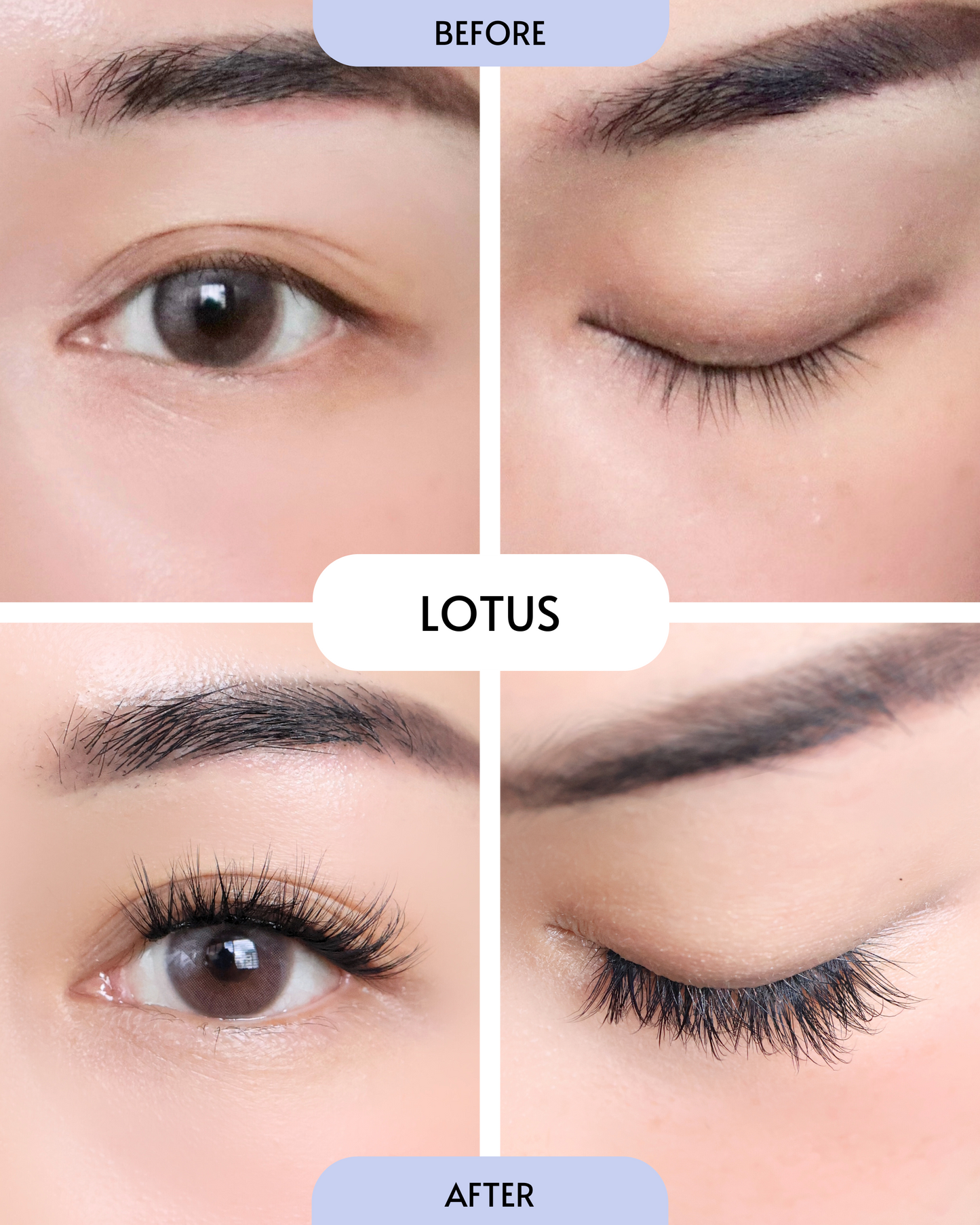 Lotus / In-A-Wink (Pre-Glued Press-On Lashes)