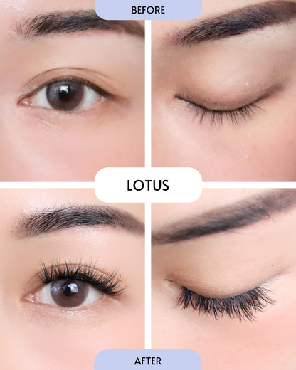 Lotus / In-A-Wink (Pre-Glued Press-On Lashes)