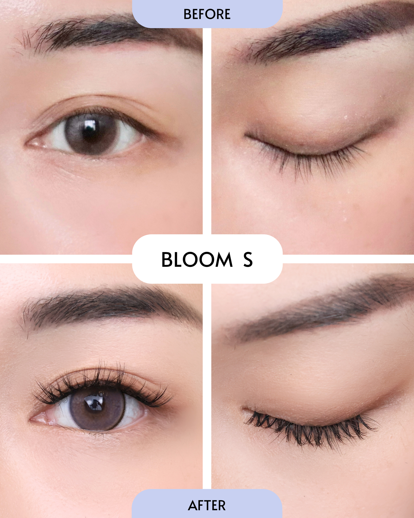 Bloom (Pre-Glued Press-On Lash Cluster | Pre-Mapped)