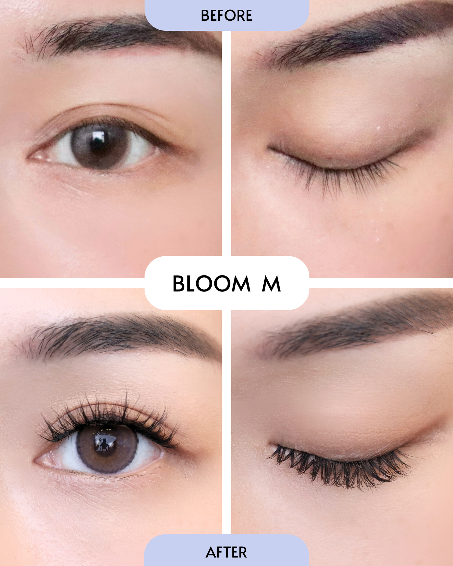 Bloom (Pre-Glued Press-On Lash Cluster | Pre-Mapped)
