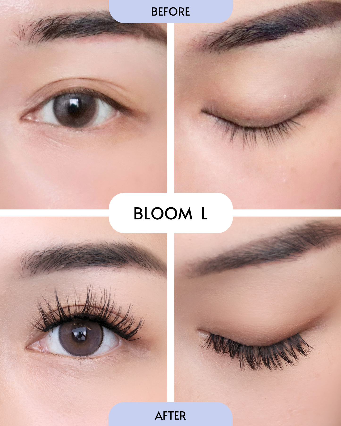 Bloom (Pre-Glued Press-On Lash Cluster | Pre-Mapped)
