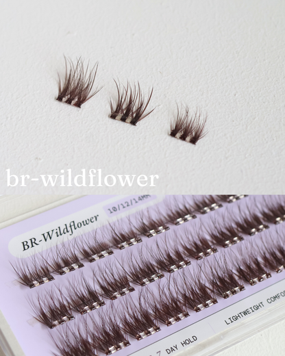Brown -  Wildflower