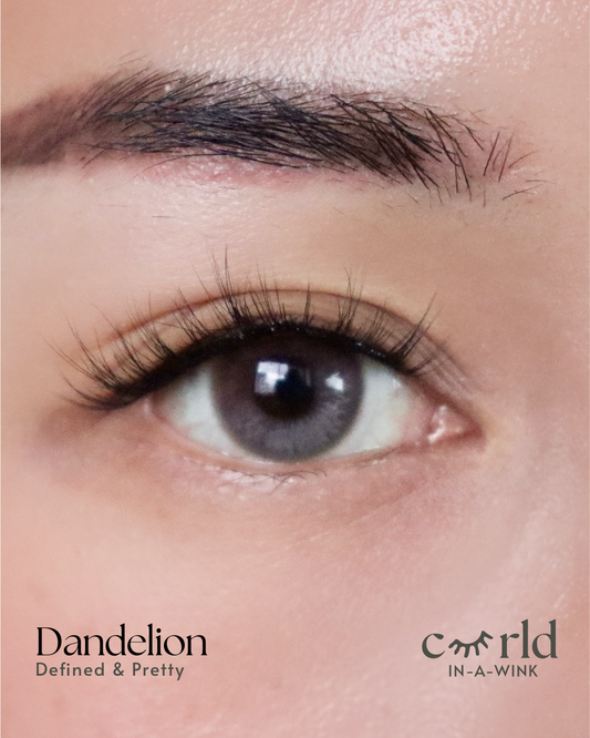 Dandelion / In-A-Wink