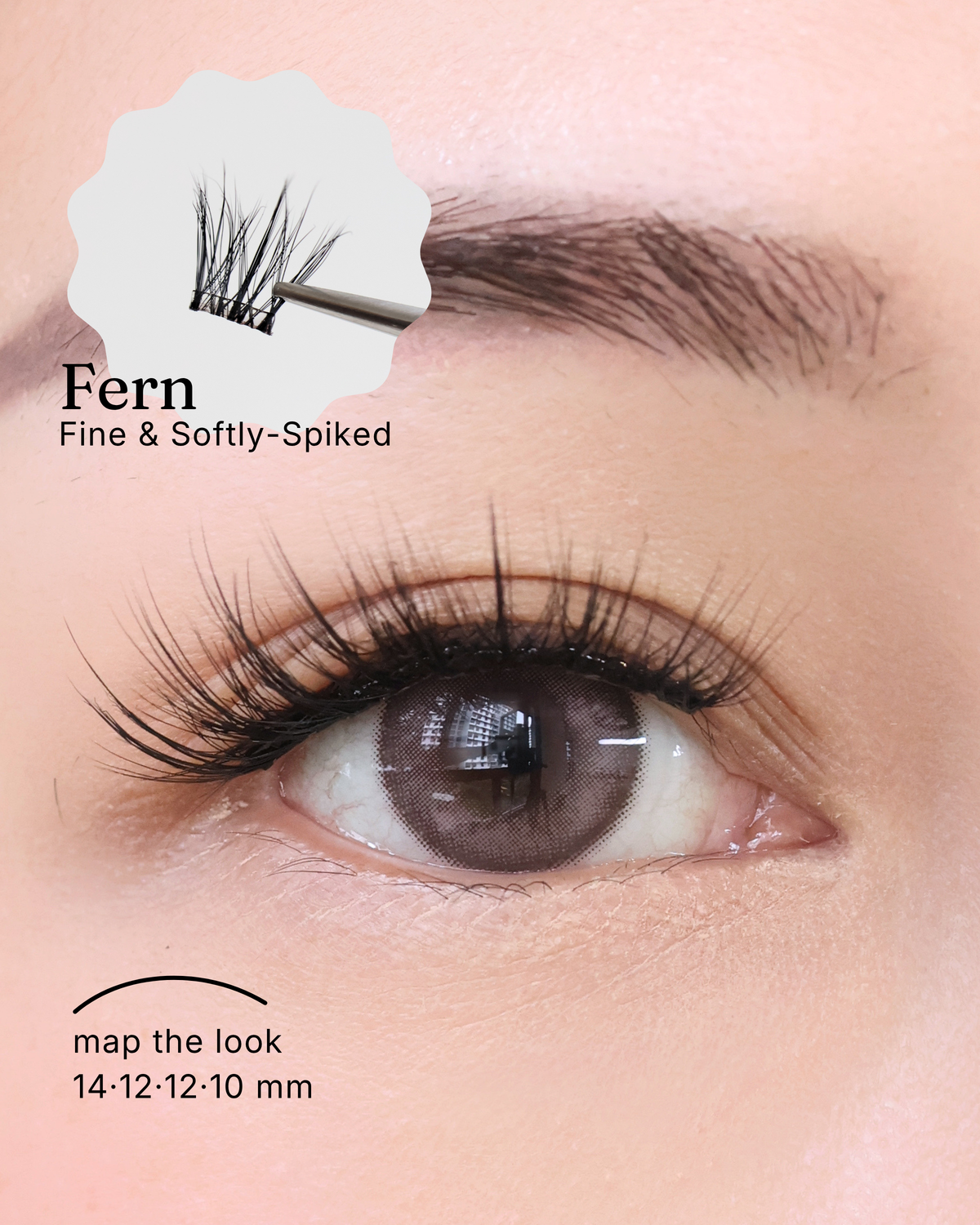 Fern