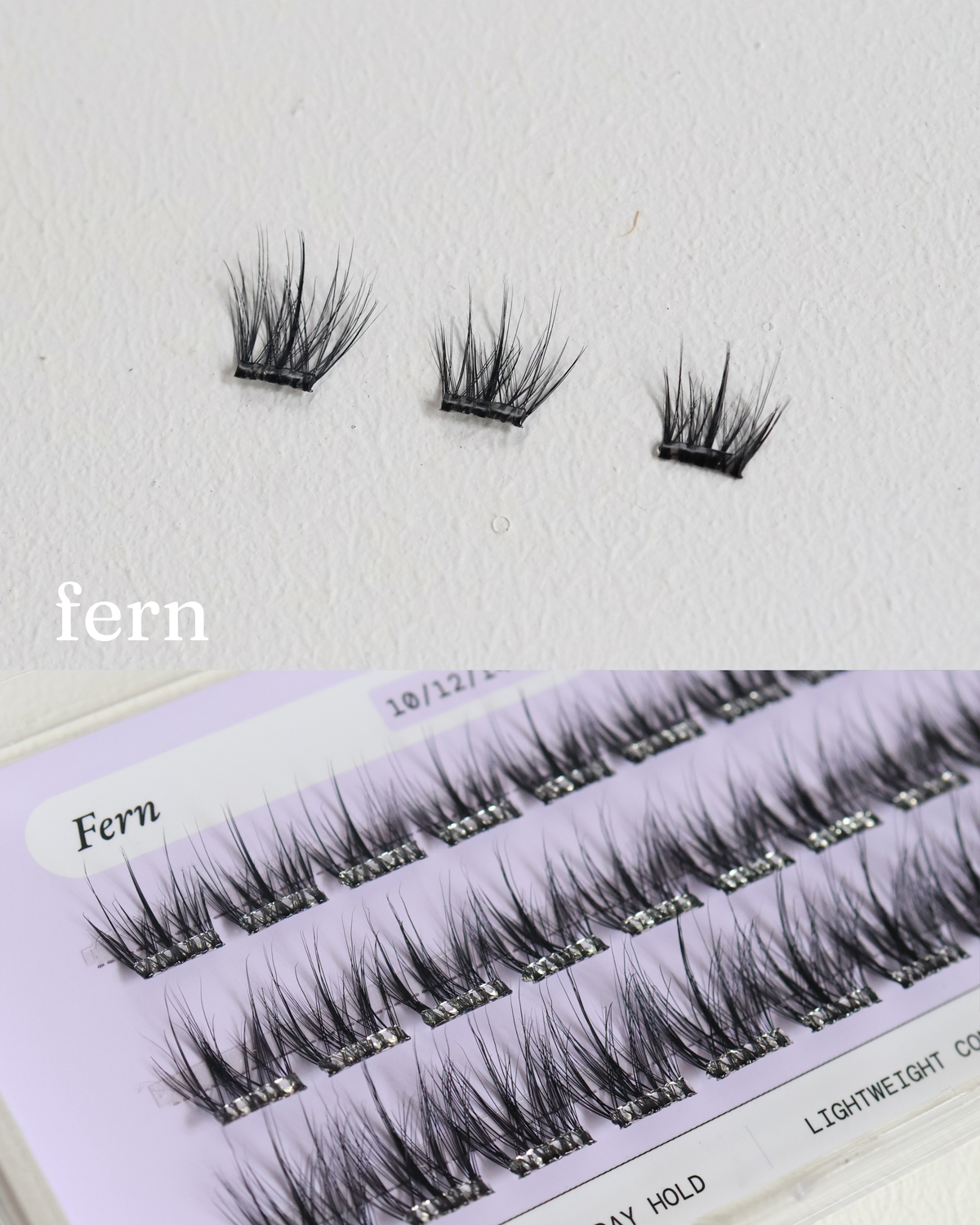Fern