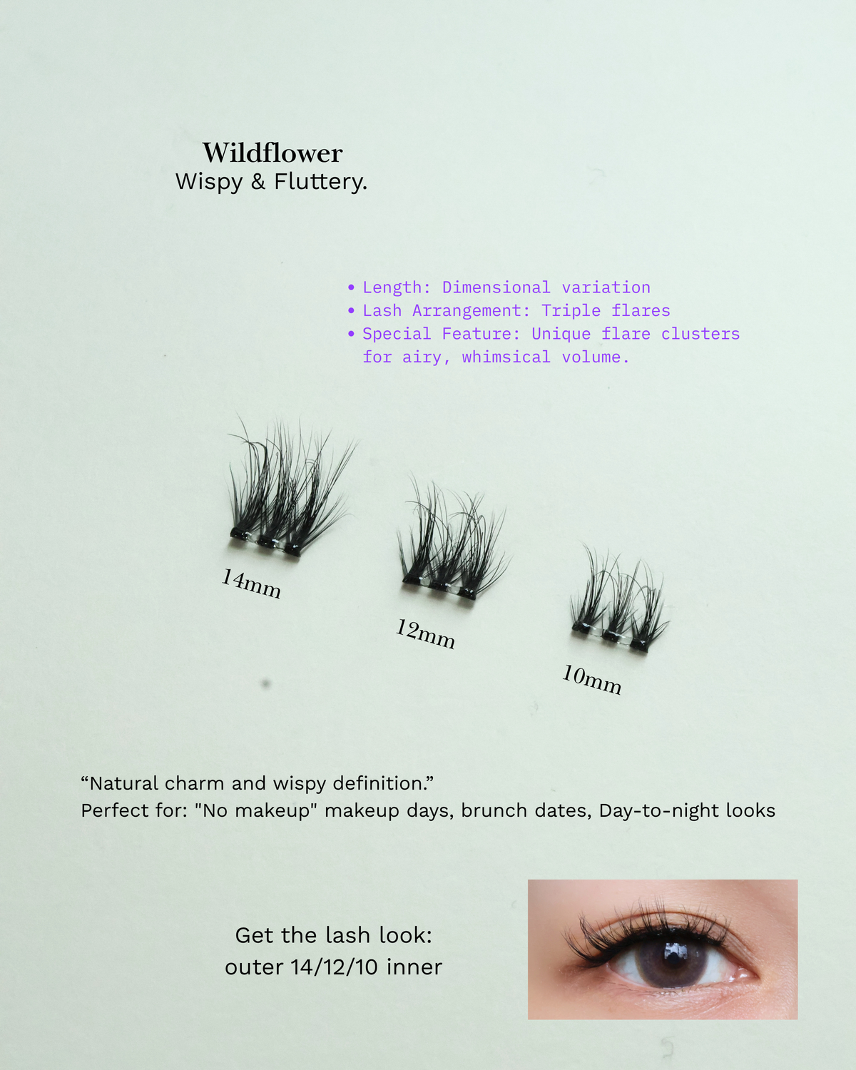 Wildflower (Pre-Glued Press-On Lash Clusters) — designer notes 1