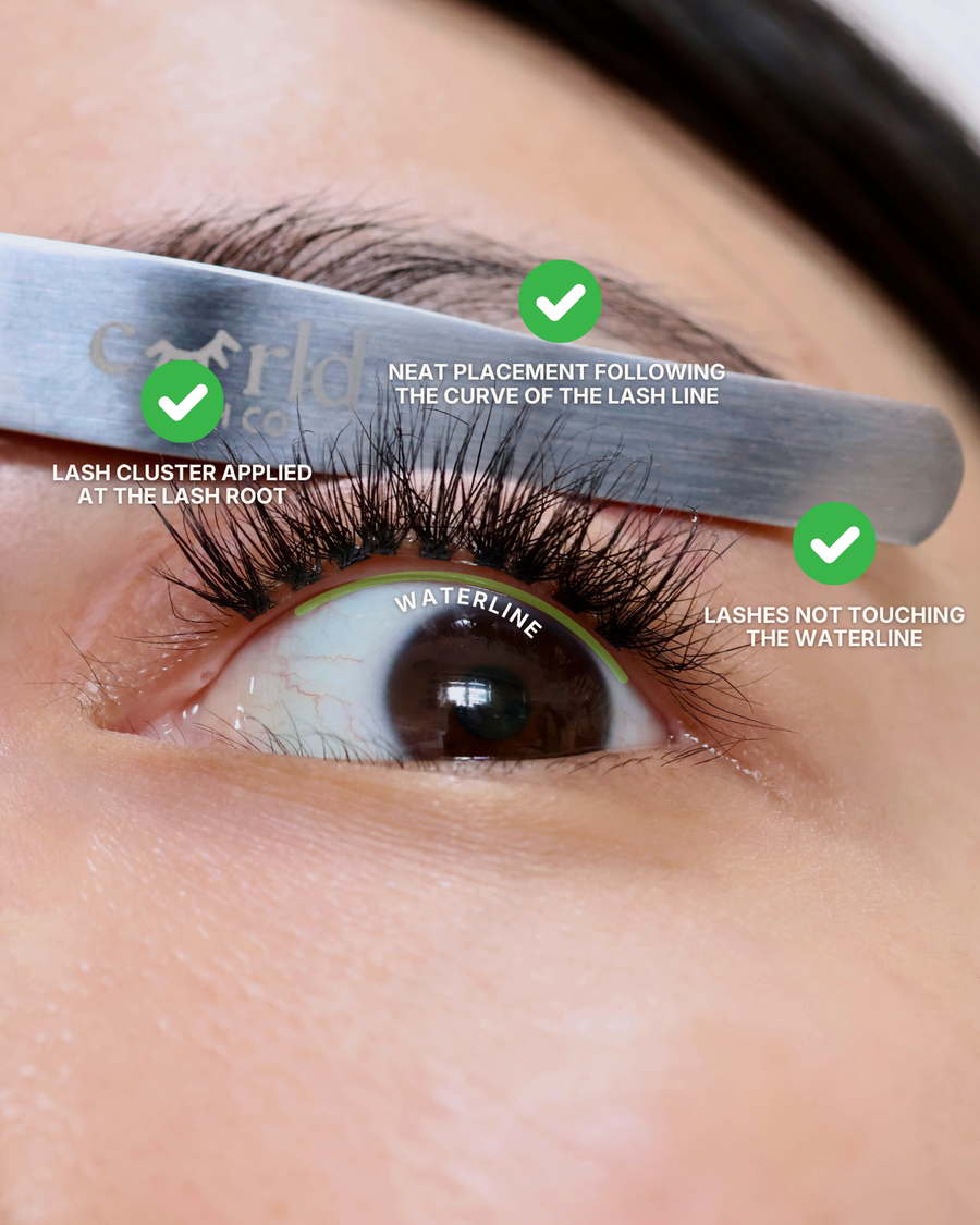 How to check your placement